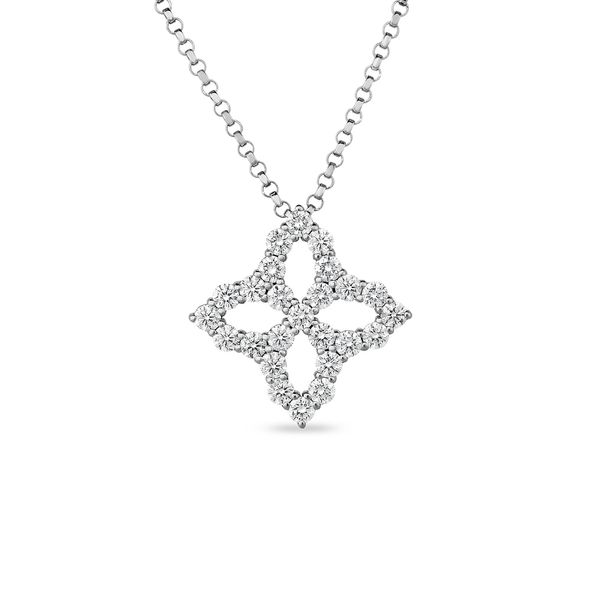 Robert Coin Diamond Necklace Flora Gems Decatur, IL