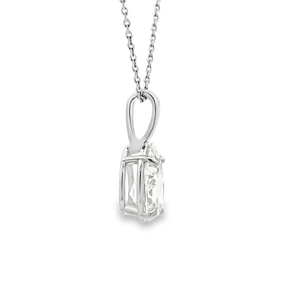 Diamond Pendant Image 4 Flora Gems Decatur, IL