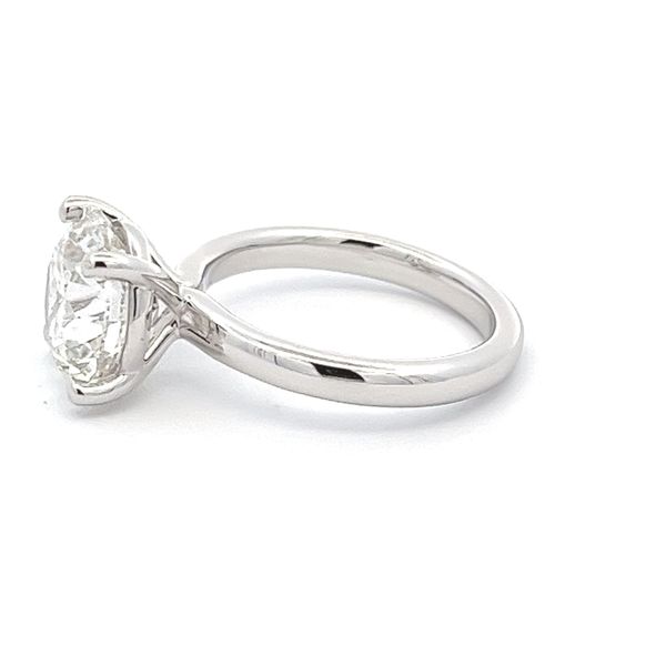 Lab Grown Diamond Ring Image 2 Flora Gems Decatur, IL