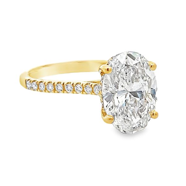 Lab Grown Diamond Ring Flora Gems Decatur, IL