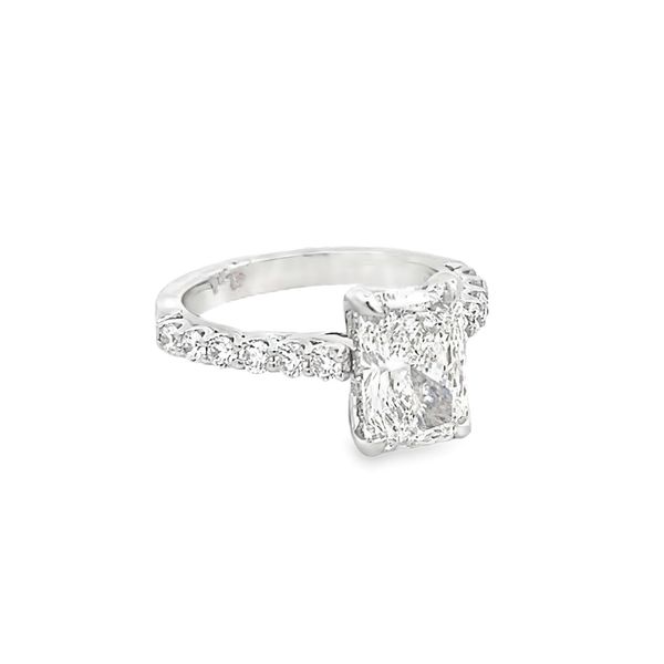 Lab Grown Diamond Ring Flora Gems Decatur, IL
