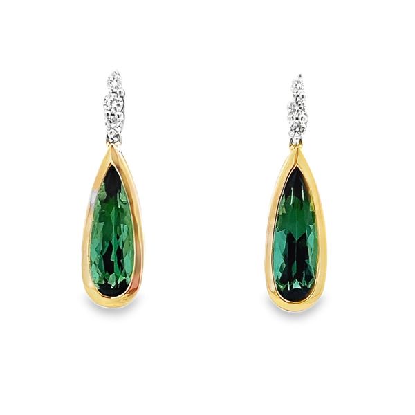 Tourmaline and Diamond Earrings Flora Gems Decatur, IL