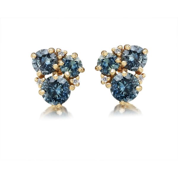 Sapphire and Diamond Earrings Flora Gems Decatur, IL