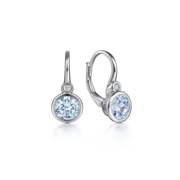 Aquamarine and Diamond Earrings Flora Gems Decatur, IL