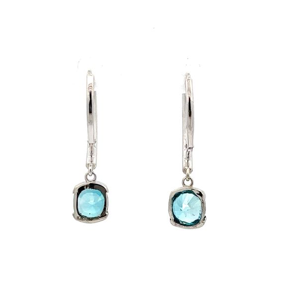 Blue Zircon and Diamond Earrings Image 3 Flora Gems Decatur, IL
