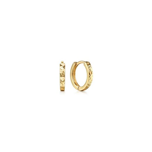 Gold Hoop Earrings Flora Gems Decatur, IL