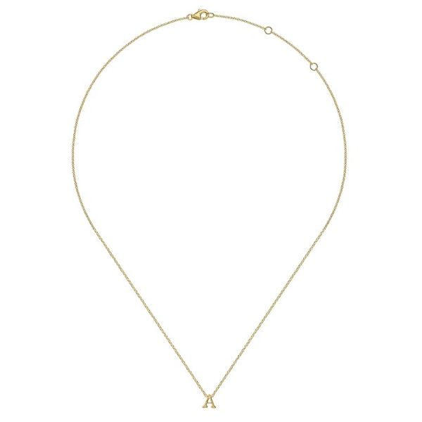 Gold Initial Necklace Image 2 Flora Gems Decatur, IL