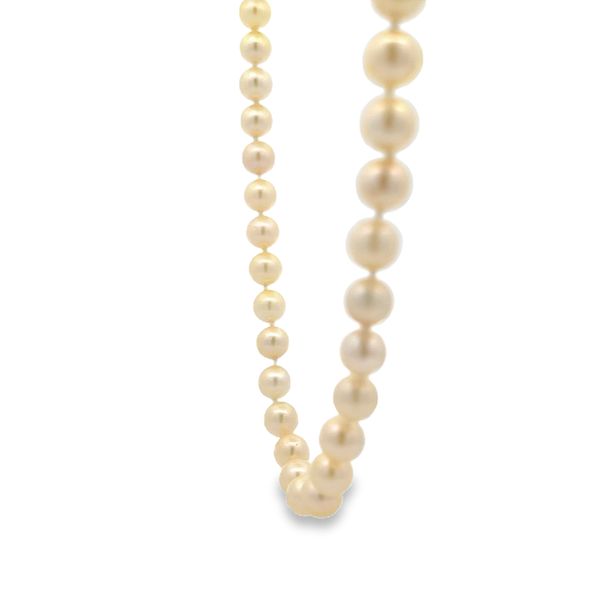 Estate - Pearl Necklace Image 2 Flora Gems Decatur, IL