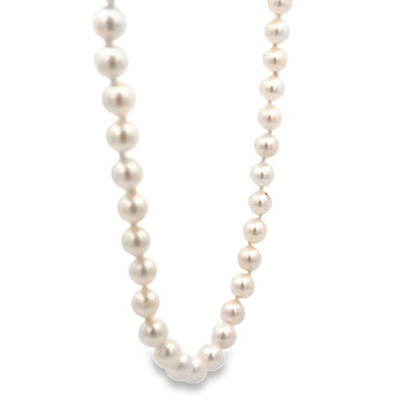 Estate - Akoya Pearl Necklace Image 4 Flora Gems Decatur, IL