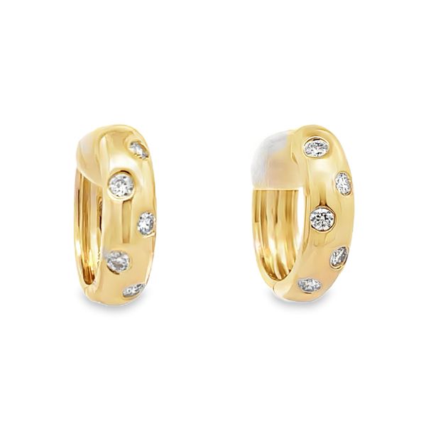 Diamond Hoop Earrings Flora Gems Decatur, IL
