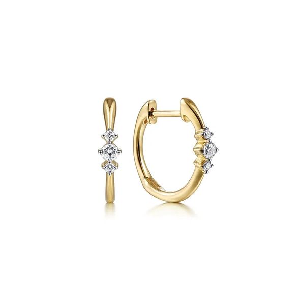 Diamond Earrings Flora Gems Decatur, IL