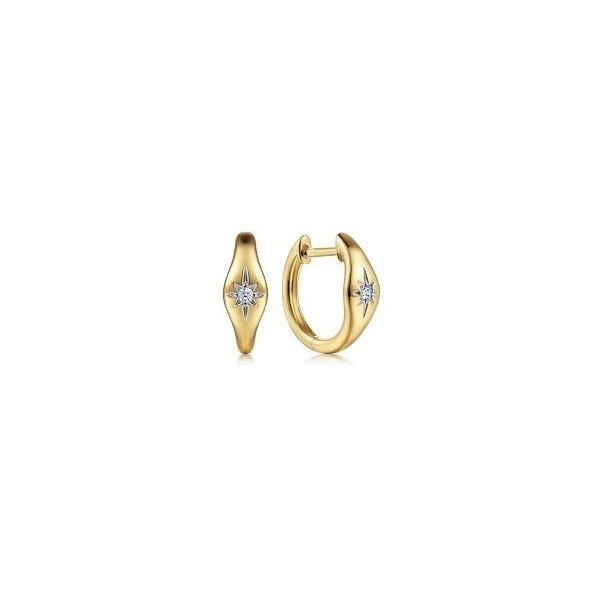Diamond Earrings Flora Gems Decatur, IL