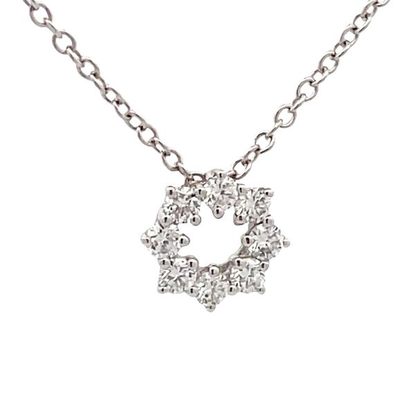 Lab Grown Diamond Necklace Flora Gems Decatur, IL