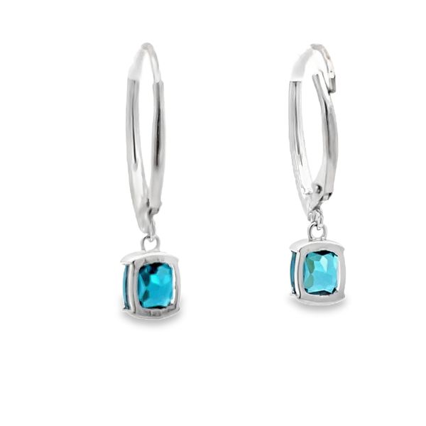 Blue Zircon and Diamond Earrings Image 3 Flora Gems Decatur, IL