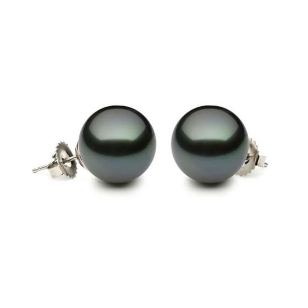 Tahitian Pearl Earrings Flora Gems Decatur, IL