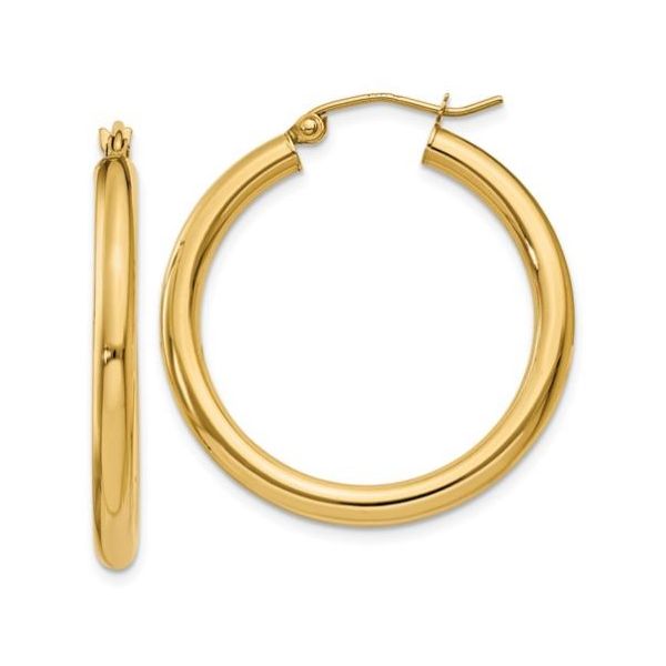 Hoop Earrings Flora Gems Decatur, IL