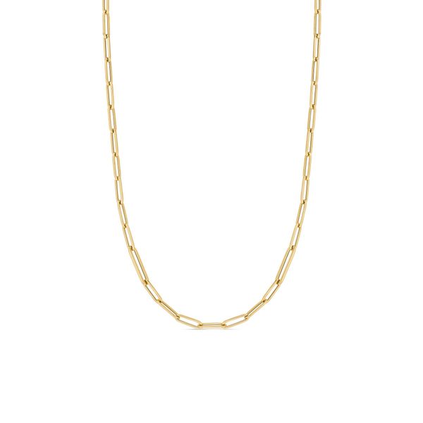 Roberto Coin Paper Clip Necklace Flora Gems Decatur, IL