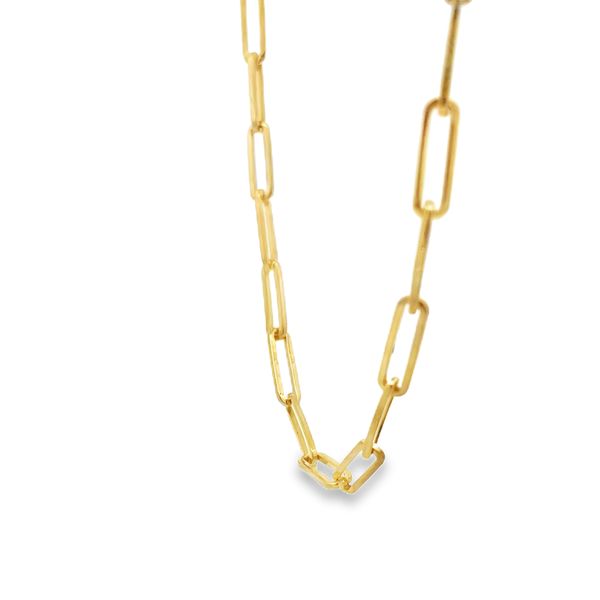 Paperclip Necklace Image 2 Flora Gems Decatur, IL