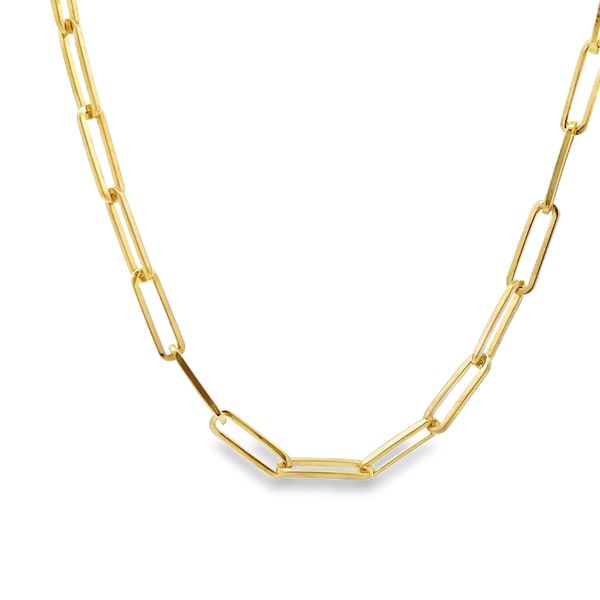 Paperclip Necklace Image 3 Flora Gems Decatur, IL