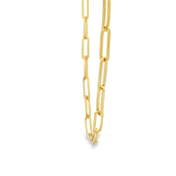 Paperclip Necklace Image 4 Flora Gems Decatur, IL