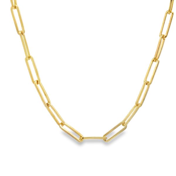 Paperclip Necklace Flora Gems Decatur, IL