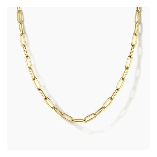 Yellow Gold Paperclip Necklace Flora Gems Decatur, IL