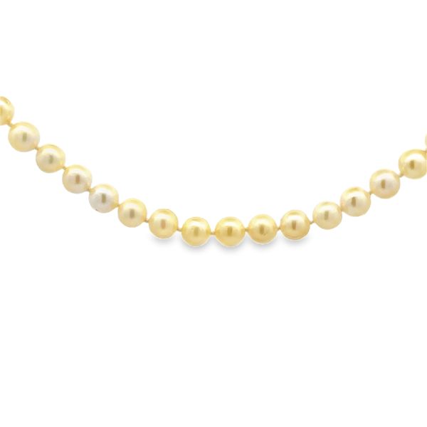 Estate - Akoya Pearl Necklace Flora Gems Decatur, IL