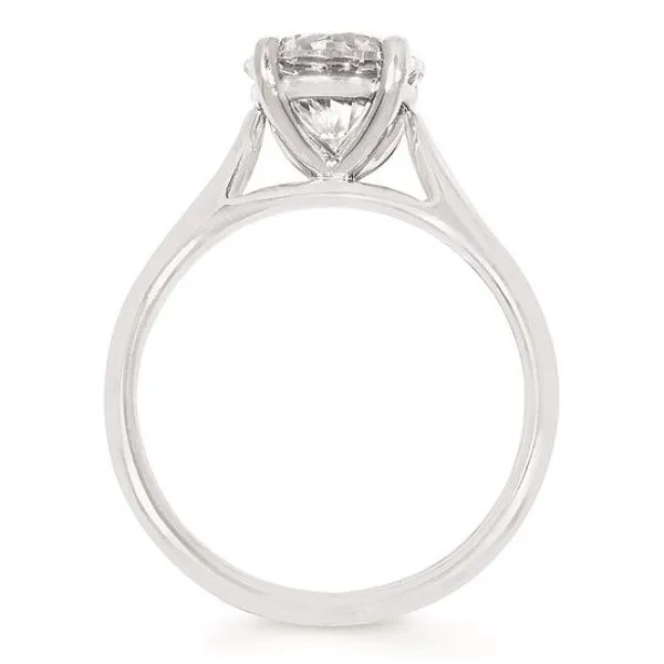 14 Karat White Gold Solitaire Diamond Engagement Ring Image 2 Forever Young Fine Jewelers St. George, UT