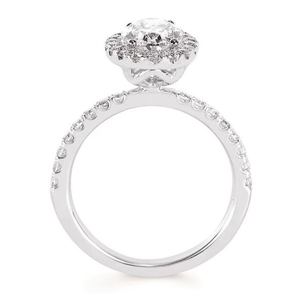 14 Karat White Gold Lab Grown Diamond Engagement Ring With Halo Image 2 Forever Young Fine Jewelers St. George, UT