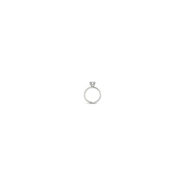 14 Karat White Gold Semi-Mount Engagement Ring Image 2 Forever Young Fine Jewelers St. George, UT