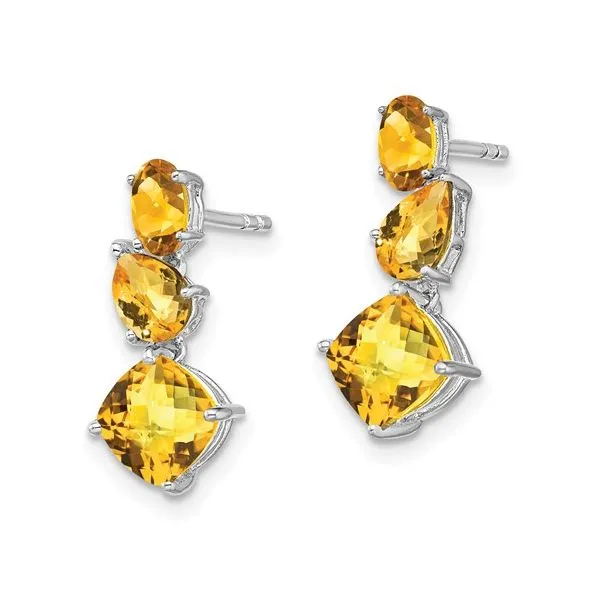 A pair of 14 karat white gold Forever Young Fine Jewelers St. George, UT