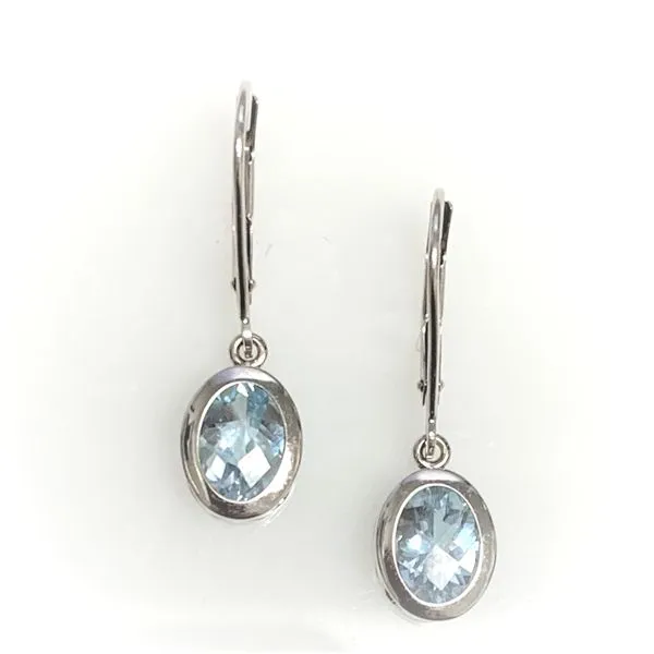 14 Karat White Gold Blue Topaz Gemstone Dangle Fashion Earrings Forever Young Fine Jewelers St. George, UT