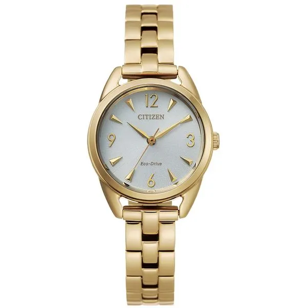 Lady's stainless steel Eco Dri Forever Young Fine Jewelers St. George, UT