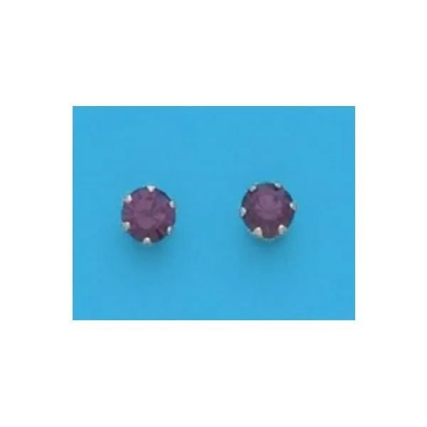 A Pair of Simulated Swarovski Crystal February (Amethyst) Birthstone Earrings Forever Young Fine Jewelers St. George, UT