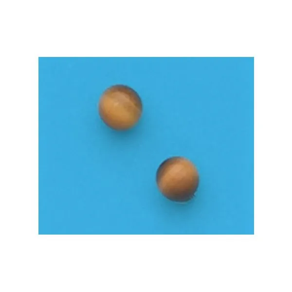 A Pair of Yellow Tone 5 mm Tiger Eye Gemstone Stud Earrings Forever Young Fine Jewelers St. George, UT