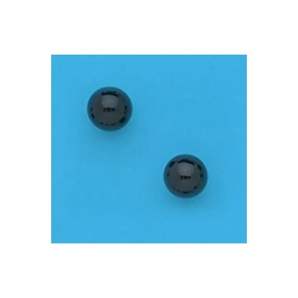 A Pair of White Tone 5 mm Round Black Onyx Gemstone Earrings Forever Young Fine Jewelers St. George, UT