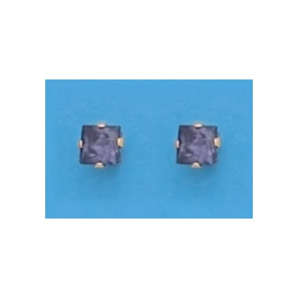 A pair of Yellow Gold Filled Square Purple CZ Earrings Forever Young Fine Jewelers St. George, UT