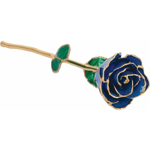 Lacquered Sapphire Birth Stone Forever Young Fine Jewelers St. George, UT