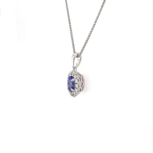14KW Gold 6x4 mm Oval Tanzanite & Diamond Pendant on 18