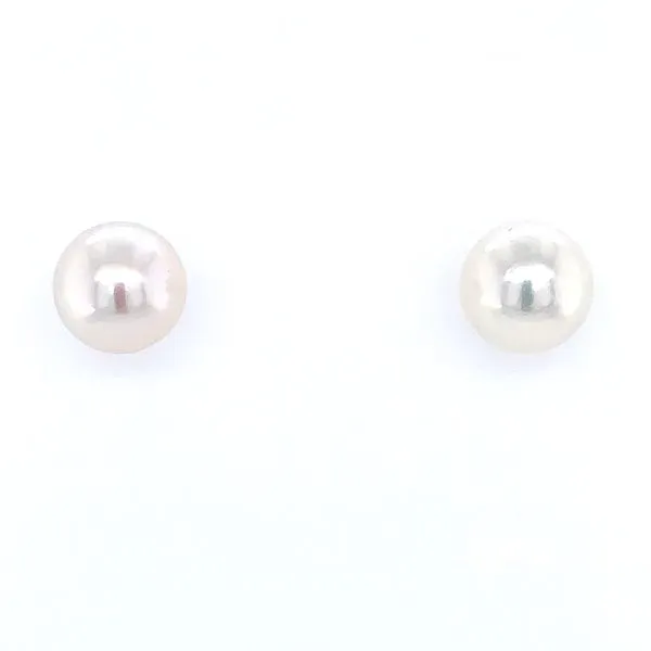 14KW Gold 8 - 8.5 mm Akoya Pearl Stud Earrings Franzetti Jewelers Austin, TX
