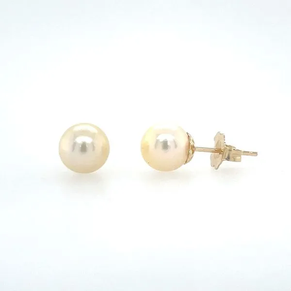 14KY Gold 7 - 7.5 mm Yellow Akoya Pearl Stud Earrings Franzetti Jewelers Austin, TX