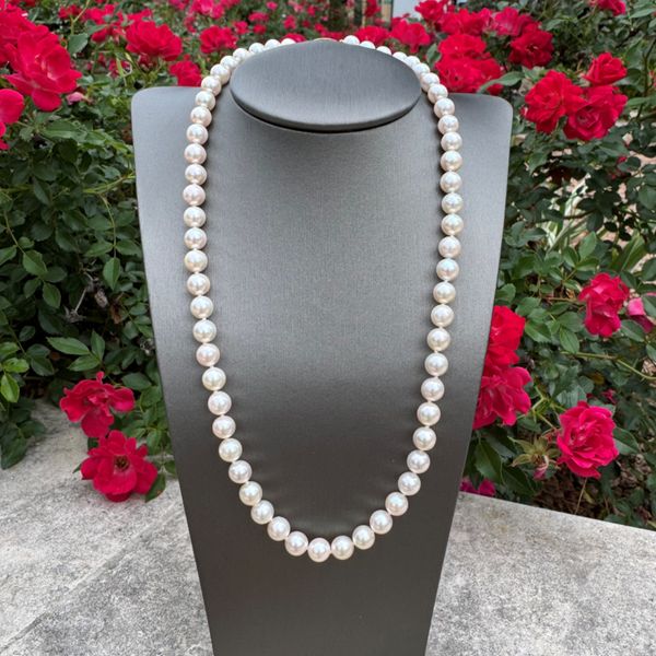 6.5 - 7 mm White Akoya Pearl Necklace with Yellow Gold Clasp Image 3 Franzetti Jewelers Austin, TX