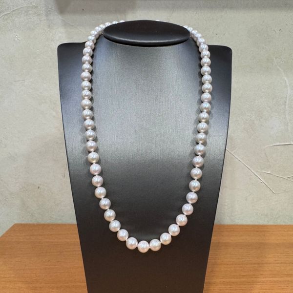 6.5 - 7 mm White Akoya Pearl Necklace with Yellow Gold Clasp Image 5 Franzetti Jewelers Austin, TX