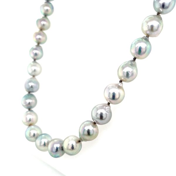 8.5 - 9 mm Gray Akoya Pearl Necklace with White Gold Clasp Image 5 Franzetti Jewelers Austin, TX