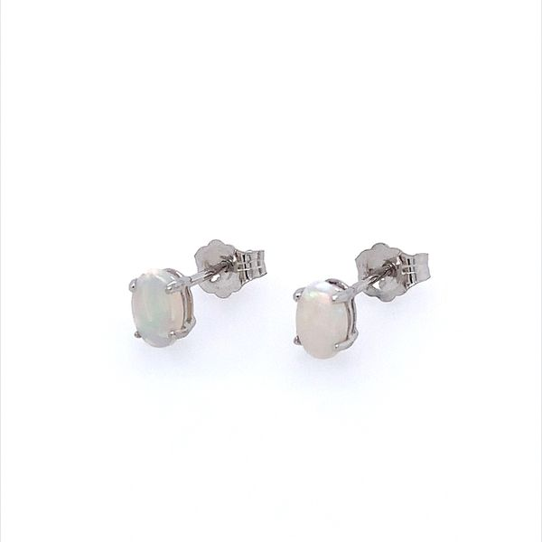 14K White Gold Opal Stud Earrings Franzetti Jewelers Austin, TX