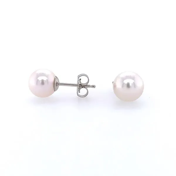 14K White Gold 7.5 - 8 mm Akoya Pearl Stud Earrings Image 2 Franzetti Jewelers Austin, TX