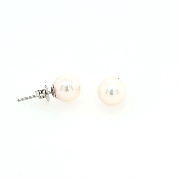 14K White Gold 7 - 7.5 mm Akoya Pearl Stud Earrings Image 2 Franzetti Jewelers Austin, TX