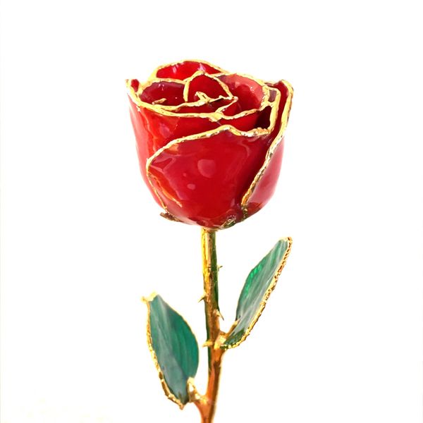 Red Rose with Gold Trim 12