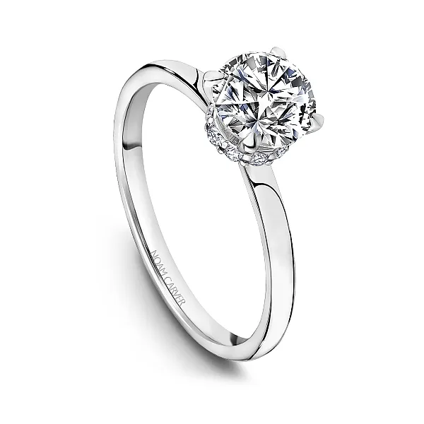 Hidden Halo Solitaire Diamond Engagement Ring Frontenac Jewellers Kingston, ON