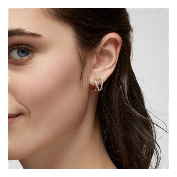 Birks Rosée du Matin Diamond and Yellow Gold Earrings (Small) Frontenac Jewellers Kingston, ON